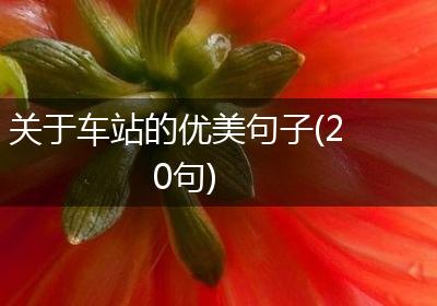 关于车站的优美句子(20句)