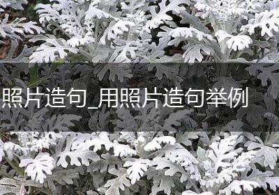 照片造句_用照片造句举例