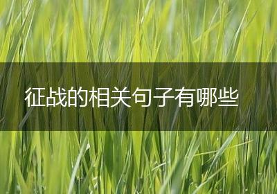 征战的相关句子有哪些