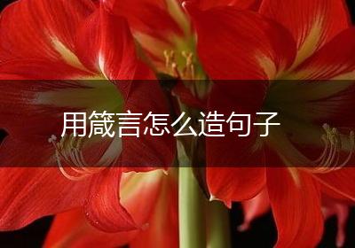 用箴言怎么造句子