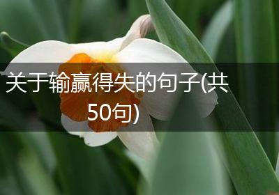 关于输赢得失的句子(共50句)
