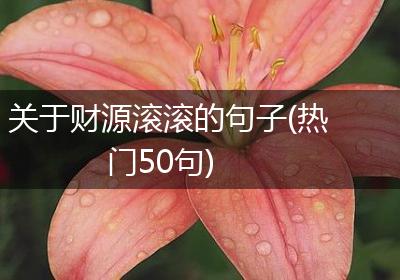 关于财源滚滚的句子(热门50句)