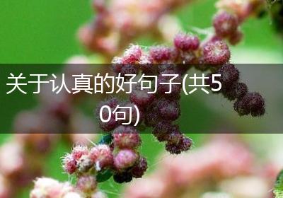 关于认真的好句子(共50句)
