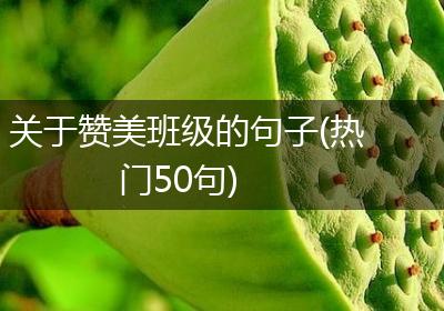 关于赞美班级的句子(热门50句)