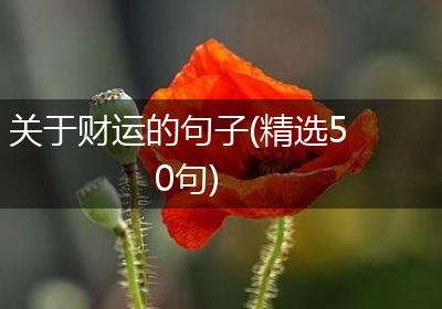 关于财运的句子(精选50句)
