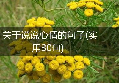关于说说心情的句子(实用30句)