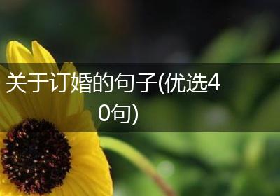 关于订婚的句子(优选40句)