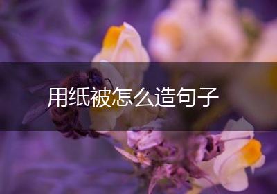 用纸被怎么造句子