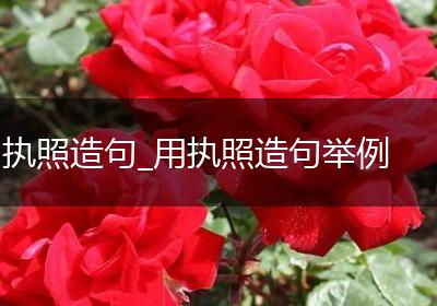 执照造句_用执照造句举例