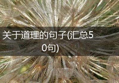 关于道理的句子(汇总50句)