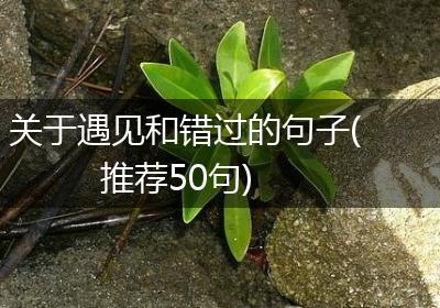 关于遇见和错过的句子(推荐50句)