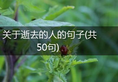 关于逝去的人的句子(共50句)
