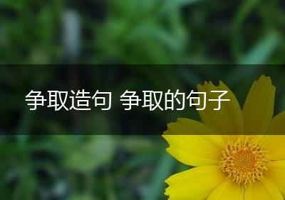 争取造句 争取的句子
