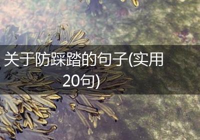 关于防踩踏的句子(实用20句)
