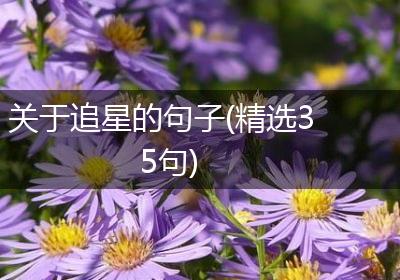 关于追星的句子(精选35句)