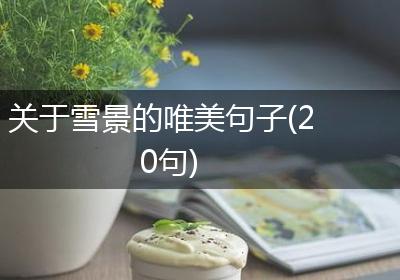 关于雪景的唯美句子(20句)