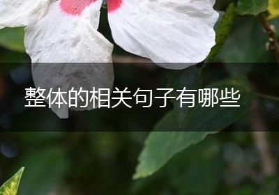 整体的相关句子有哪些