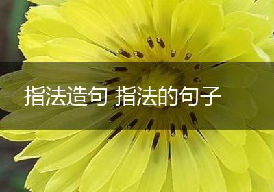 指法造句 指法的句子