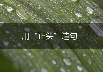 用“正头”造句