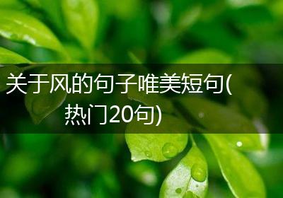关于风的句子唯美短句(热门20句)