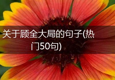 关于顾全大局的句子(热门50句)