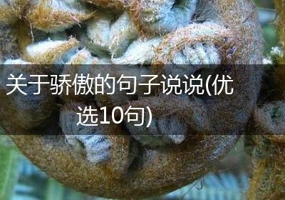 关于骄傲的句子说说(优选10句)