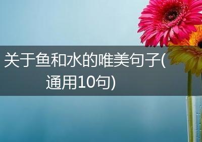 关于鱼和水的唯美句子(通用10句)