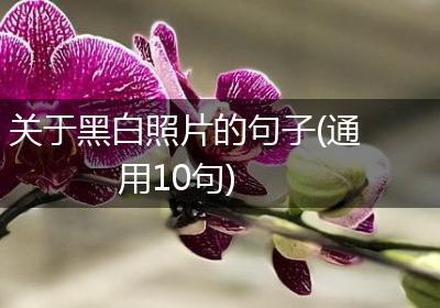 关于黑白照片的句子(通用10句)