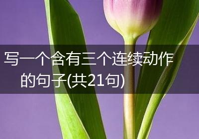 写一个含有三个连续动作的句子(共21句)