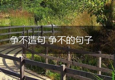 争不造句 争不的句子