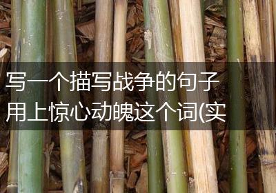 写一个描写战争的句子 用上惊心动魄这个词(实用14句)
