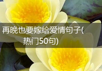 再晚也要嫁给爱情句子(热门50句)