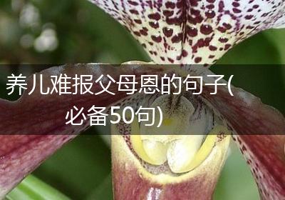 养儿难报父母恩的句子(必备50句)