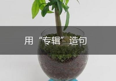 用“专辑”造句