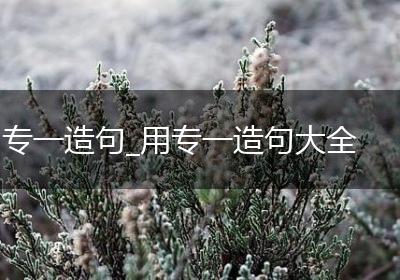 专一造句_用专一造句大全