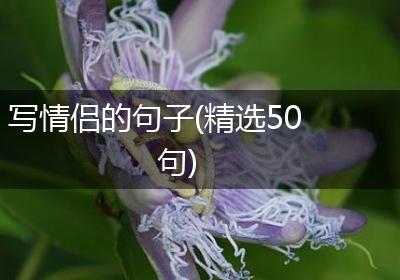写情侣的句子(精选50句)