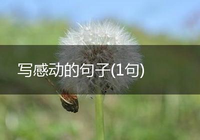 写感动的句子(1句)