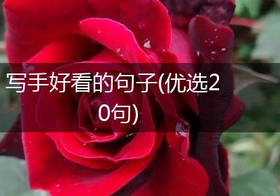 写手好看的句子(优选20句)