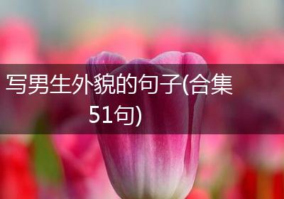 写男生外貌的句子(合集51句)