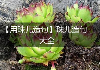 【用珠儿造句】珠儿造句大全