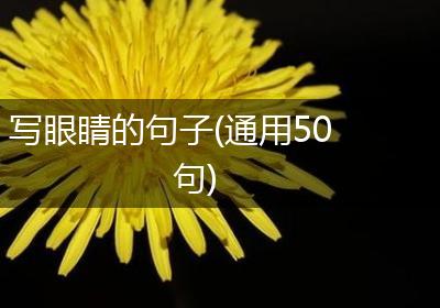 写眼睛的句子(通用50句)