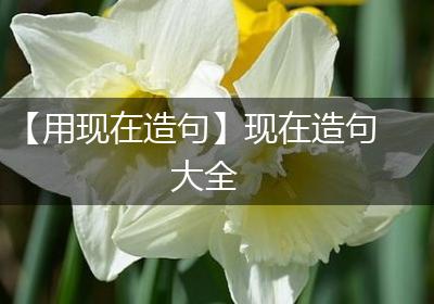 【用现在造句】现在造句大全