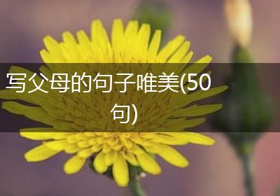写父母的句子唯美(50句)