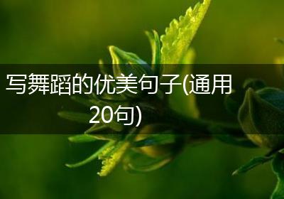 写舞蹈的优美句子(通用20句)