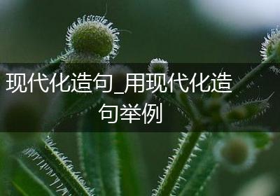 现代化造句_用现代化造句举例