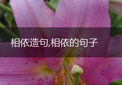 相依造句,相依的句子