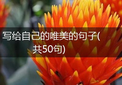 写给自己的唯美的句子(共50句)