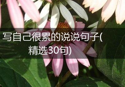 写自己很累的说说句子(精选30句)