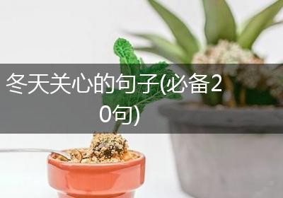 冬天关心的句子(必备20句)