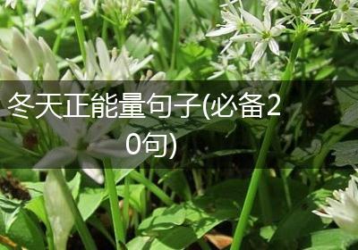 冬天正能量句子(必备20句)